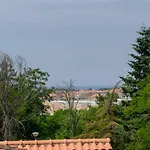 Somi Porec